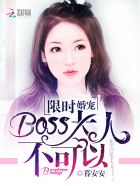 ʱ裺BOSSˣ